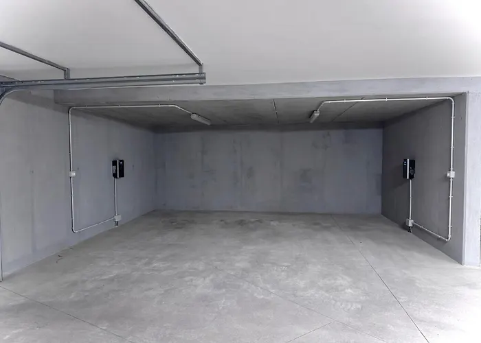 Jungle - Color Sarnico